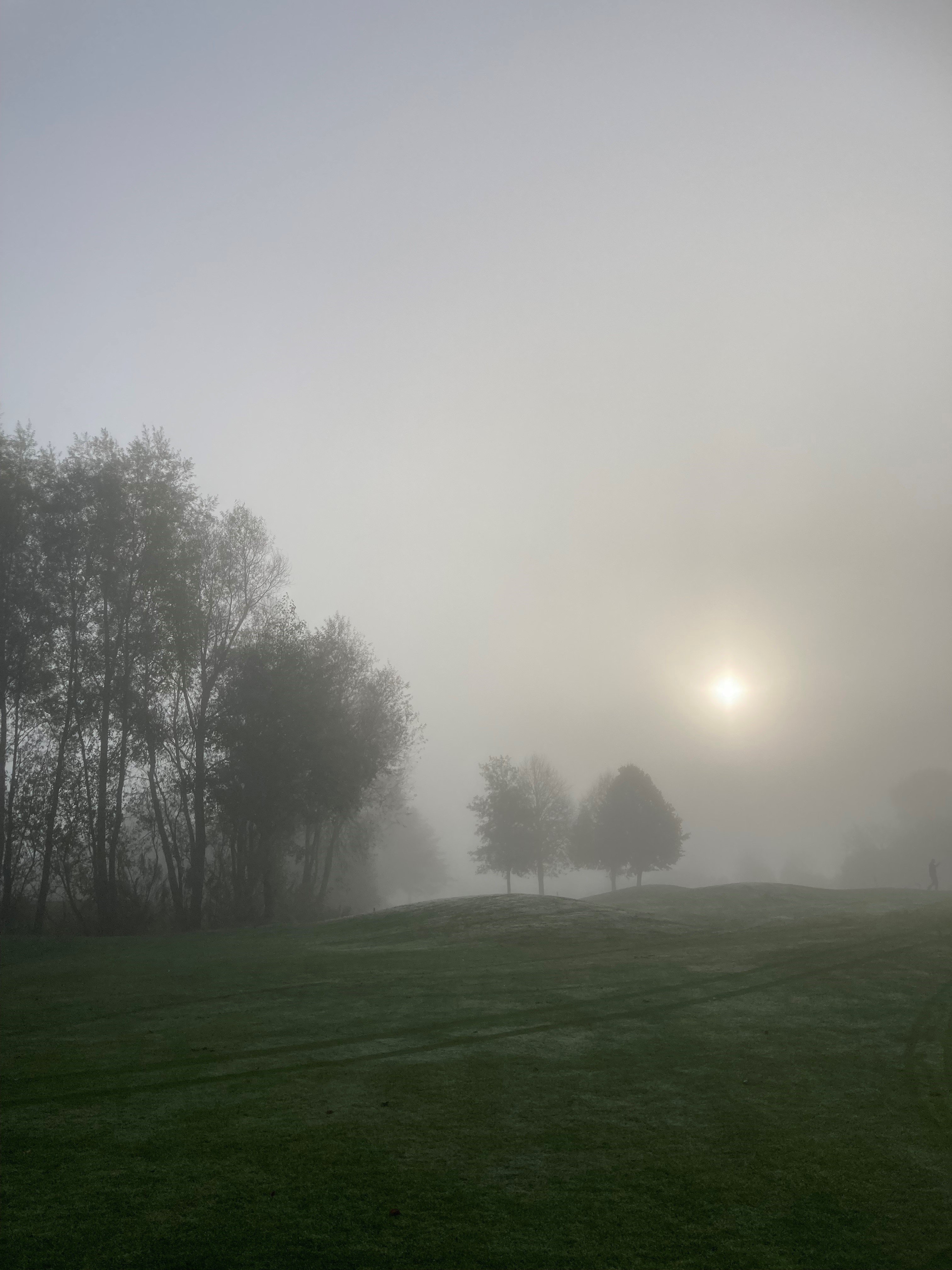 Nebel%20II