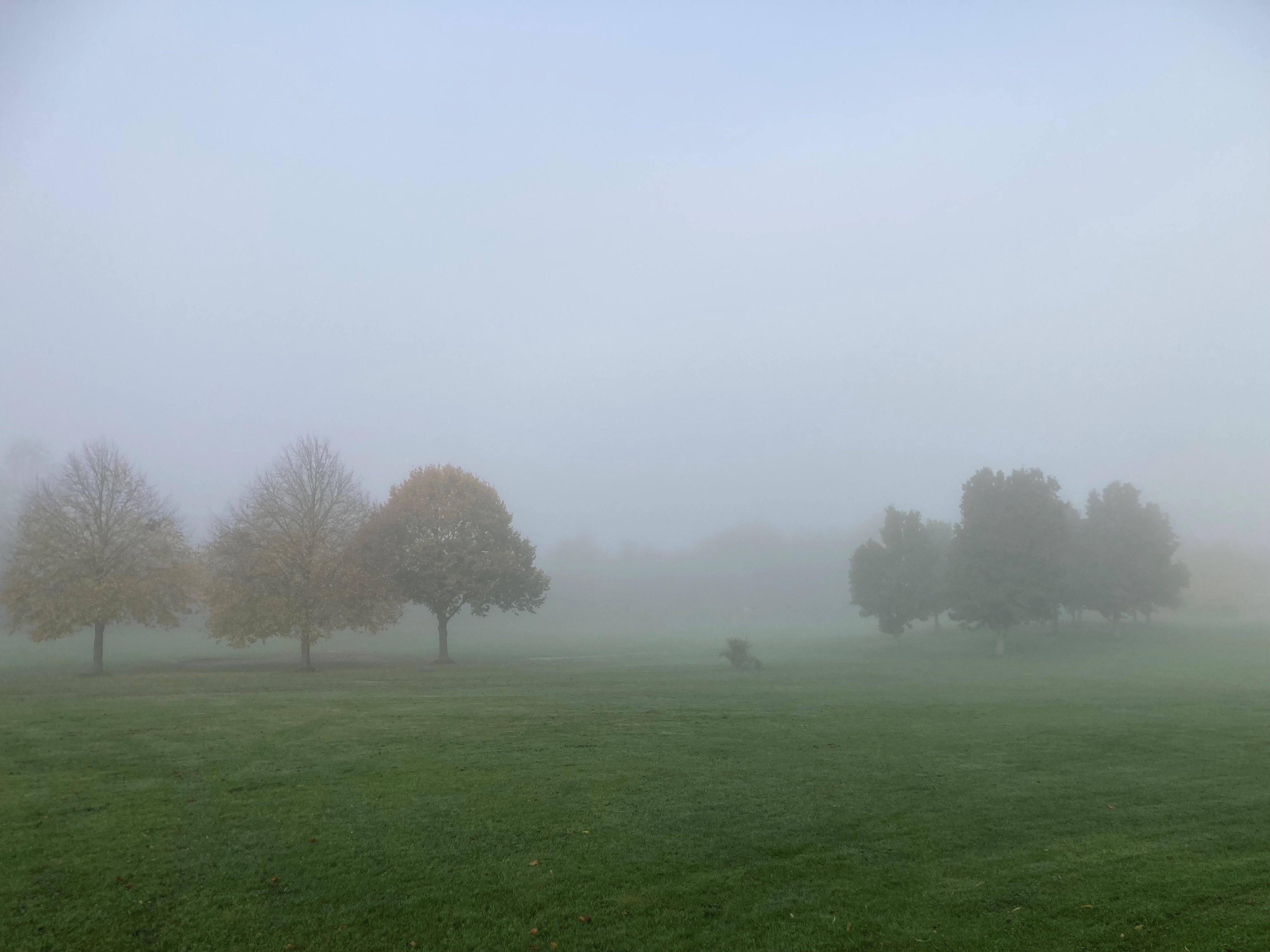Nebel%20VI